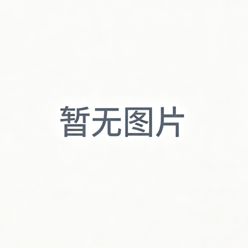 RIGEL MEDICAL 410A950 替换携行箱
